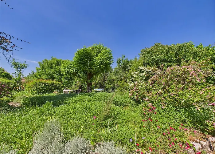 Mitoyen - Piscine Commune - 4 Personnes 別荘 モンティニャック